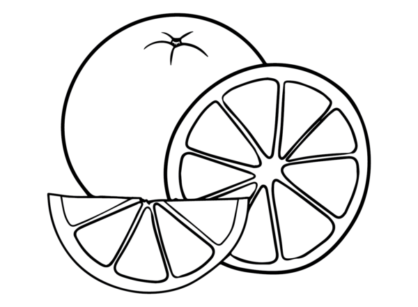 Oranges Coloring Pages Printable for Free Download
