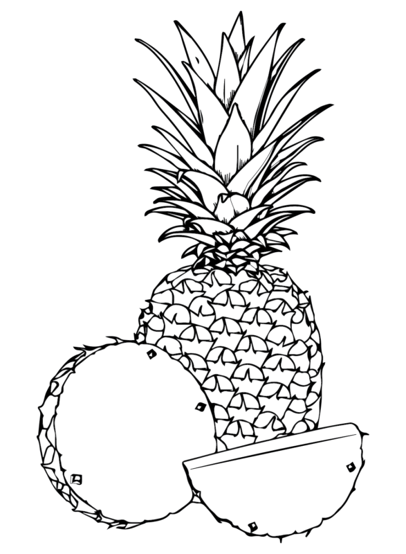 Pineapples Coloring Pages Printable for Free Download