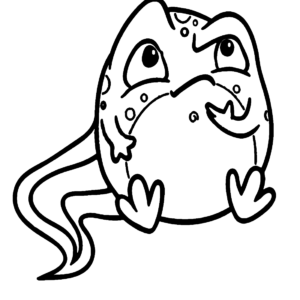 Tadpole Coloring Pages Printable for Free Download