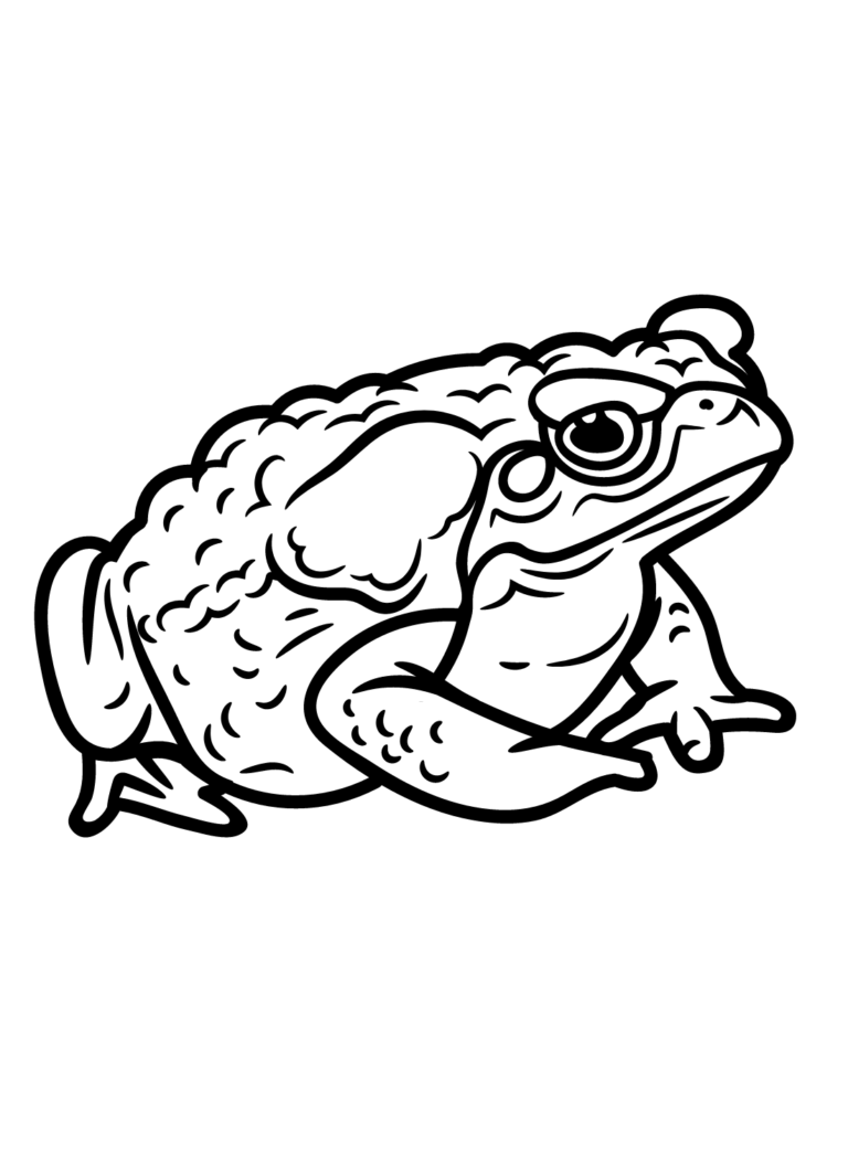 Toad Coloring Pages Printable For Free Download 