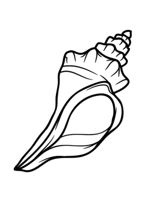 Conch Coloring Pages Printable for Free Download