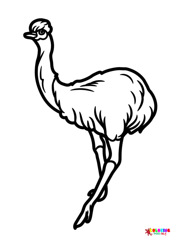 Emu Coloring Pages Printable for Free Download