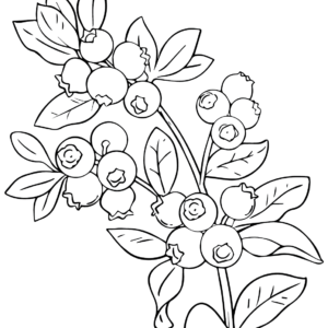 Fruits Coloring Pages Printable for Free Download