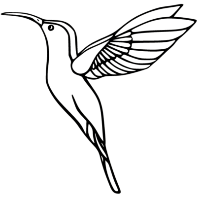 Hummingbird Coloring Pages Printable for Free Download