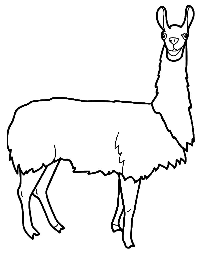 Llama Coloring Pages Printable for Free Download