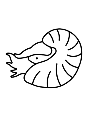 Nautilus Coloring Pages Printable for Free Download