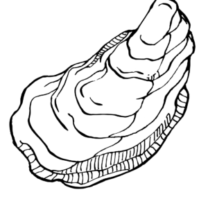 Oyster Coloring Pages Printable For Free Download