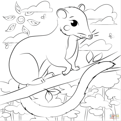 Possum Coloring Pages Printable for Free Download