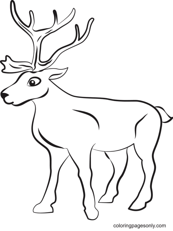 Reindeer Coloring Pages Printable for Free Download