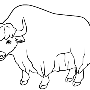 Yak Coloring Pages Printable for Free Download