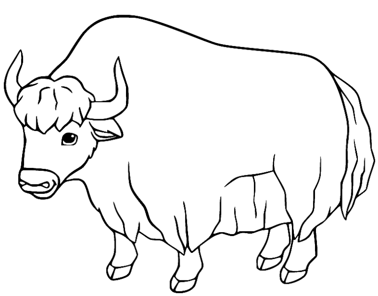 Yak Coloring Pages Printable for Free Download