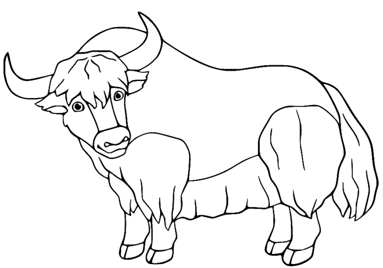 Yak Coloring Pages Printable for Free Download