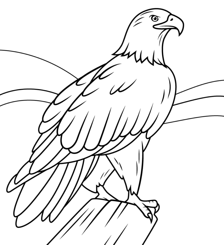 Eagle Coloring Pages Printable for Free Download