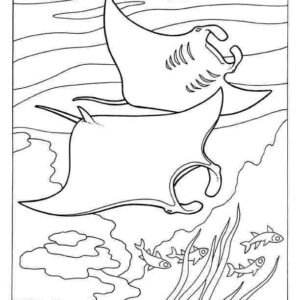 Stingray Coloring Pages - Free & Printable!