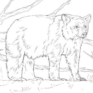 Realistic Animal Coloring Pages Printable for Free Download