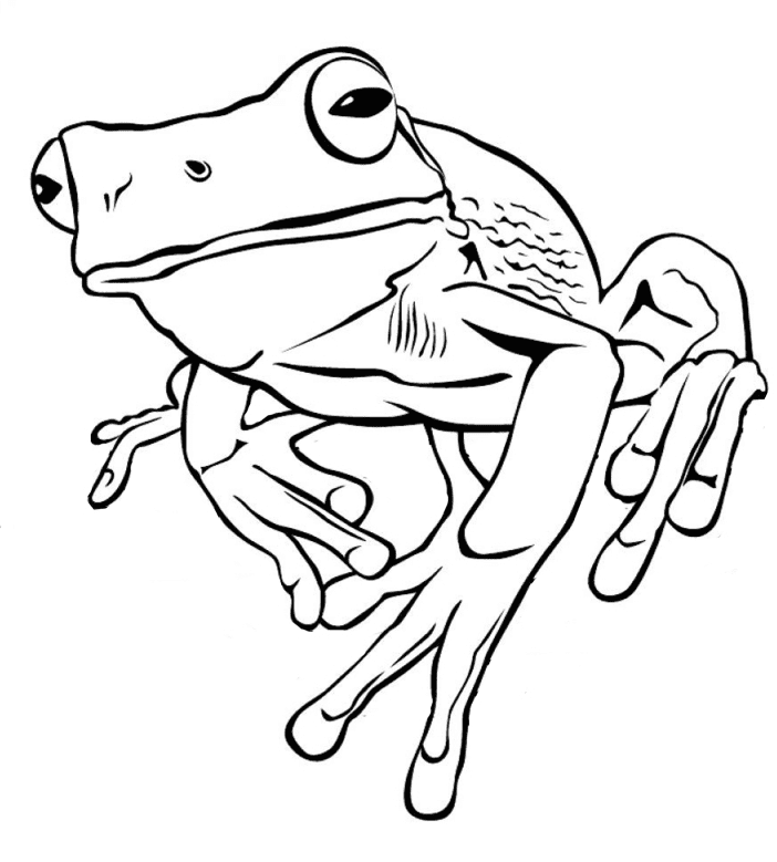 Realistic Animal Coloring Pages Printable for Free Download