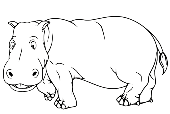 Hippo Coloring Pages Printable for Free Download