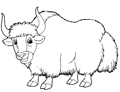 Yak Coloring Pages Printable for Free Download