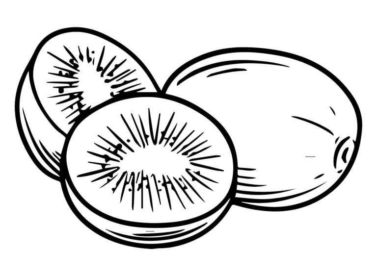 Kiwi Fruit Coloring Pages Printable for Free Download