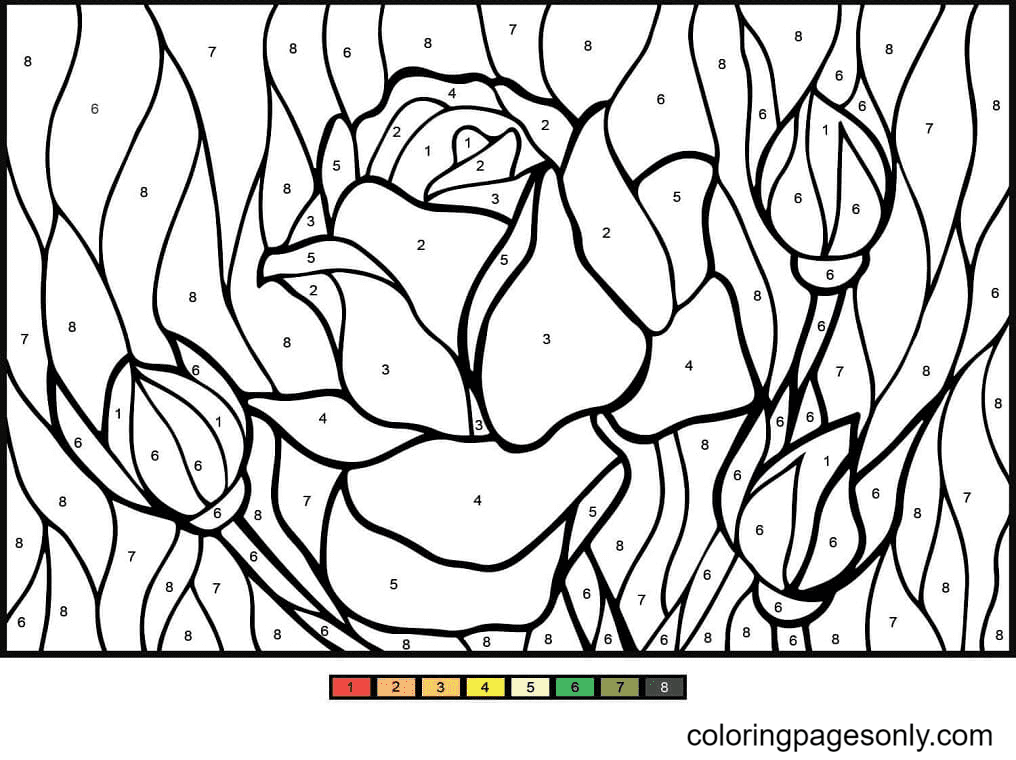 Color by Number Coloring Pages Printable for Free Download