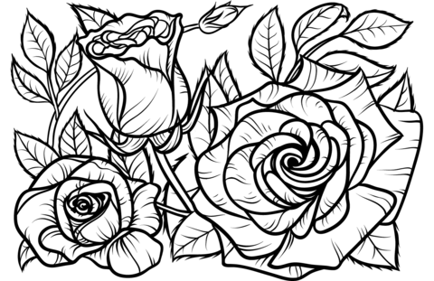 Roses Coloring Pages Printable for Free Download