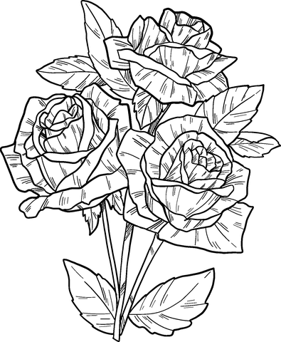 Roses Coloring Pages Printable for Free Download