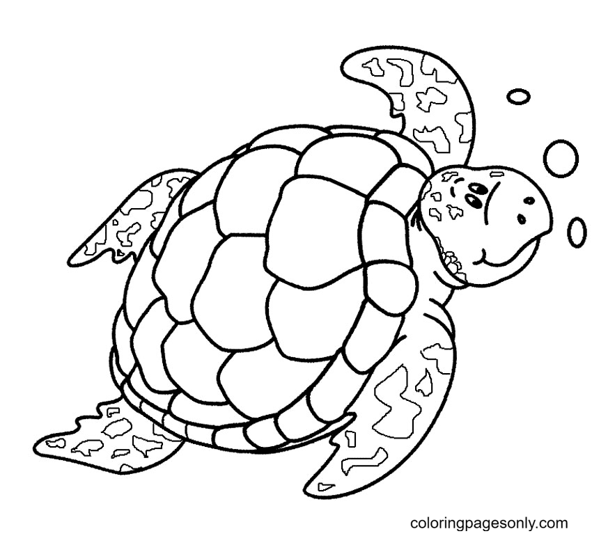 Turtle Coloring Pages Printable For Free Download