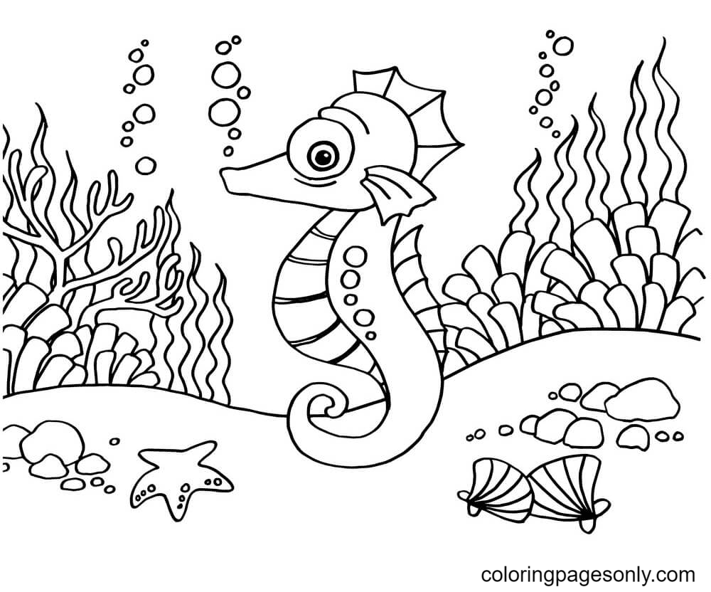 Seahorse Coloring Pages Printable for Free Download