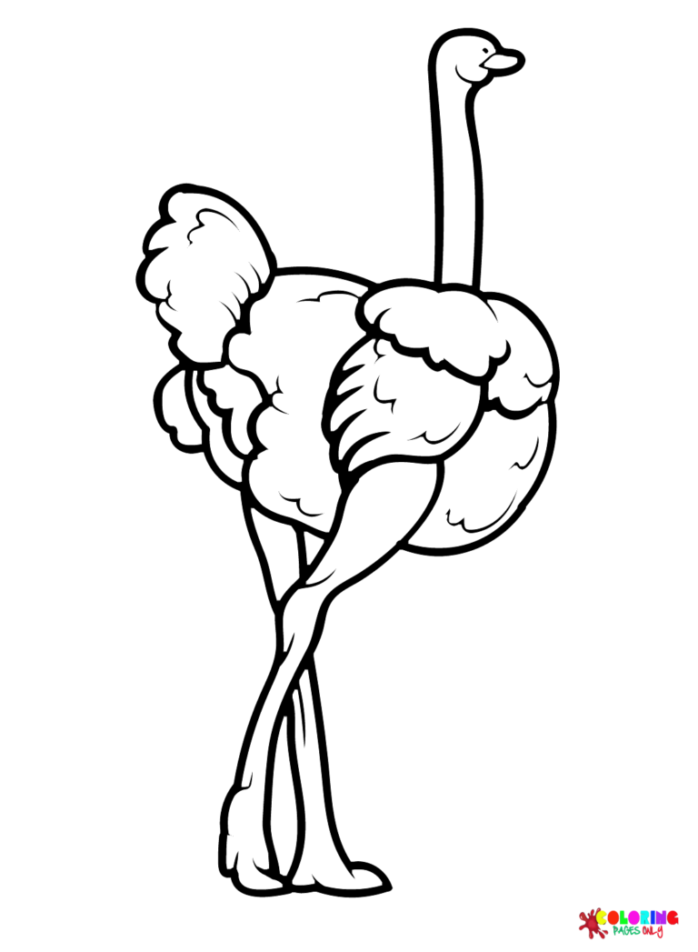 Ostrich Coloring Pages Printable for Free Download