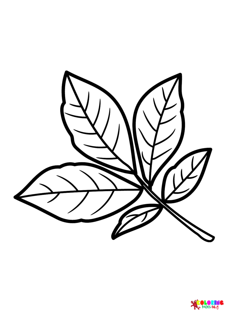 Leaves Coloring Pages Printable for Free Download