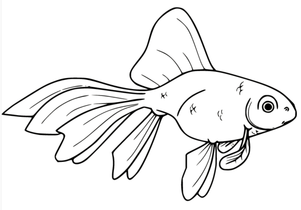 Goldfish Coloring Pages Printable for Free Download