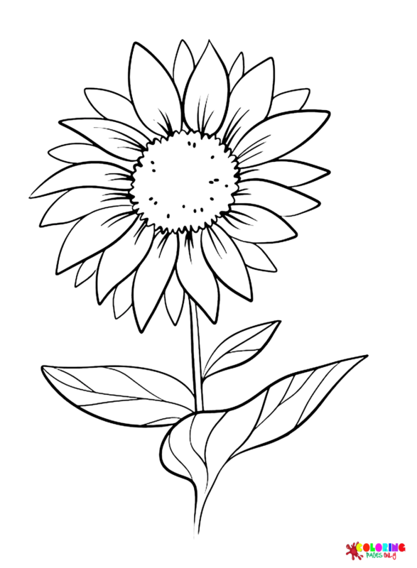 Daisy Coloring Pages Printable for Free Download