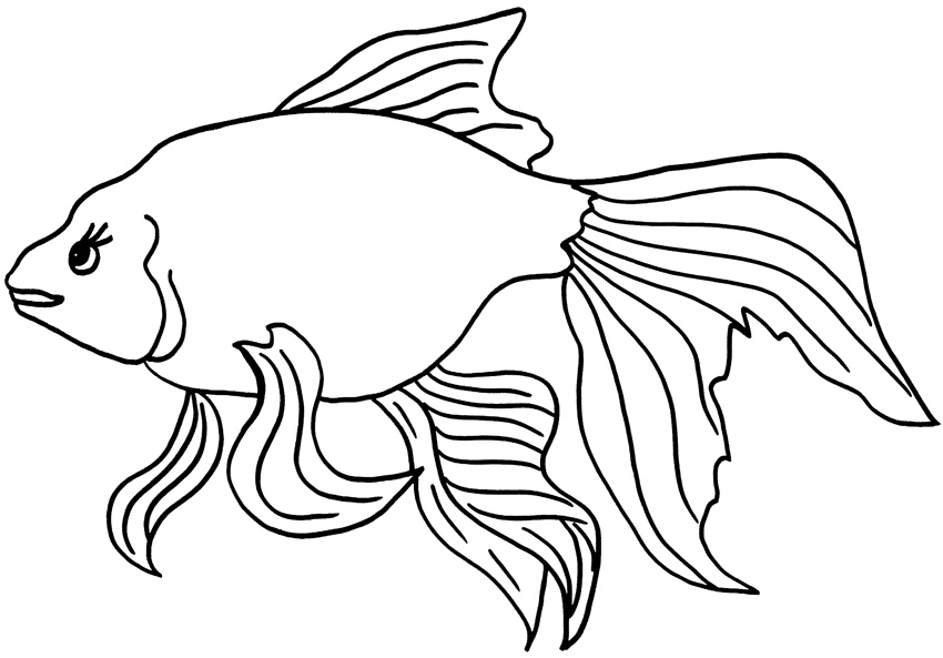 Goldfish Coloring Pages Printable for Free Download