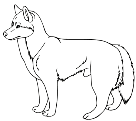 Husky Coloring Pages Printable for Free Download