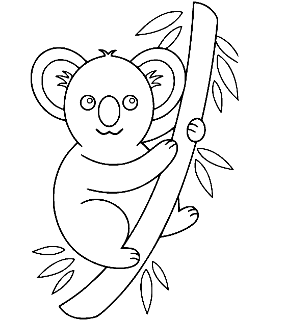 Koala Coloring Pages Printable for Free Download