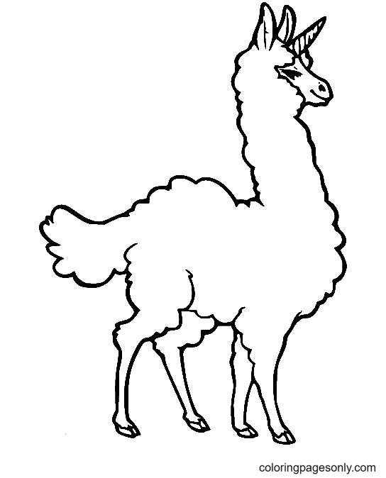 Llama Coloring Pages Printable for Free Download