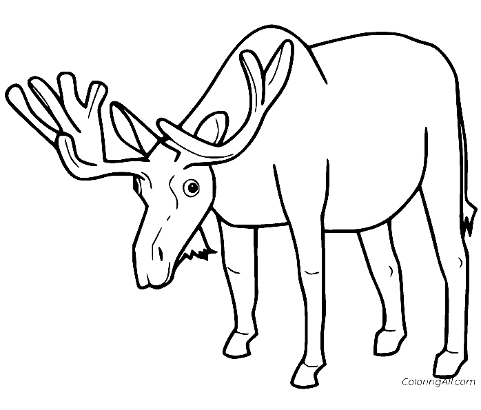 Moose Coloring Pages Printable for Free Download