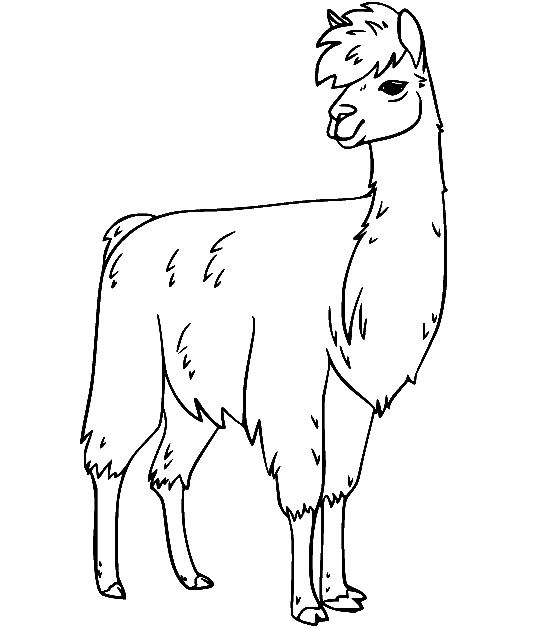 Llama Coloring Pages Printable for Free Download