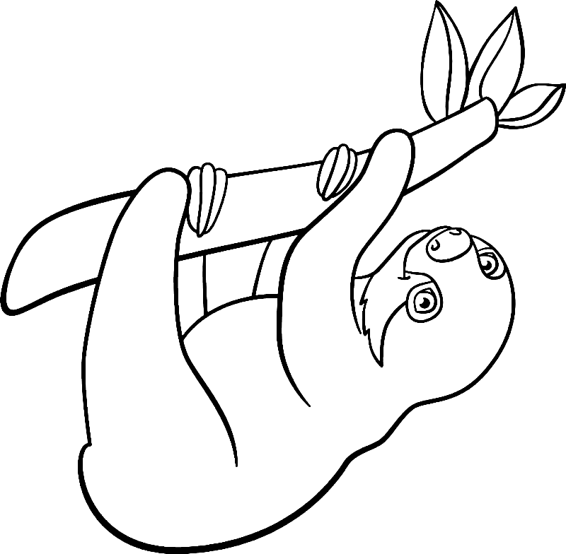 Sloth Coloring Pages Printable for Free Download