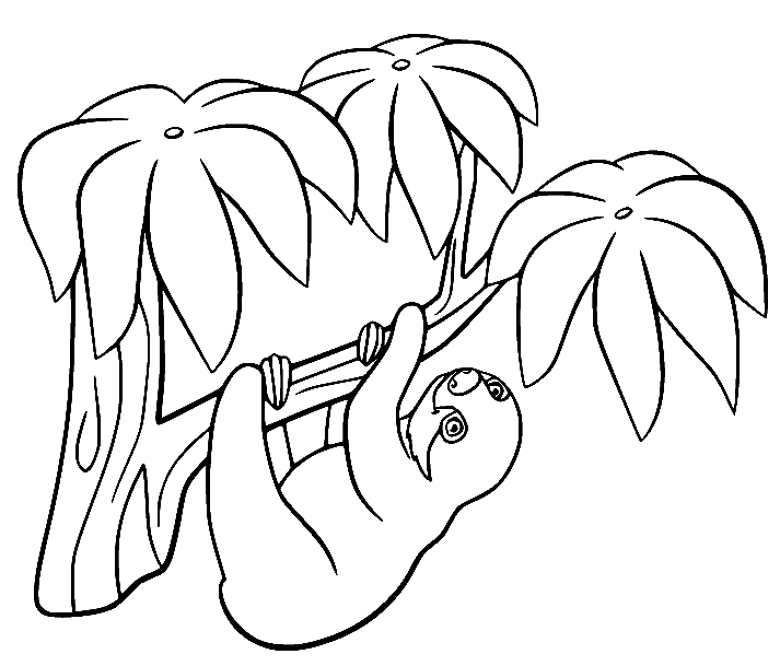 Sloth Coloring Pages Printable for Free Download