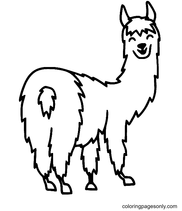 Llama Coloring Pages Printable for Free Download