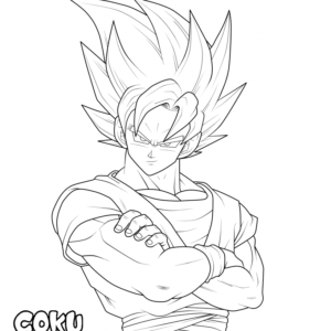 SSJ5 EOZ Goku (by me) : r/dbz