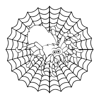 Spider Coloring Pages Printable for Free Download