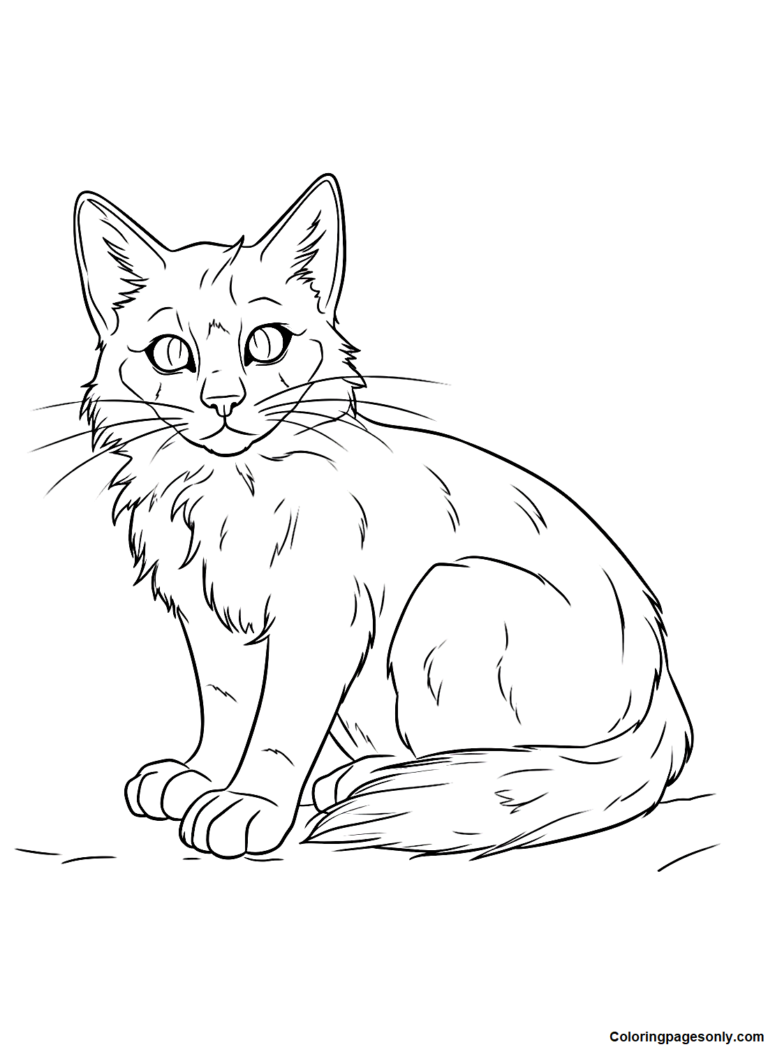 Warrior Cats Coloring Pages Printable for Free Download