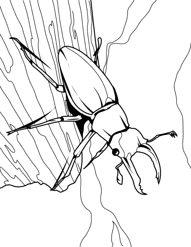 Bugs Coloring Pages Printable For Free Download