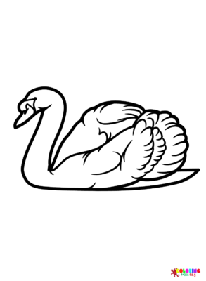 Swan Coloring Pages Printable for Free Download