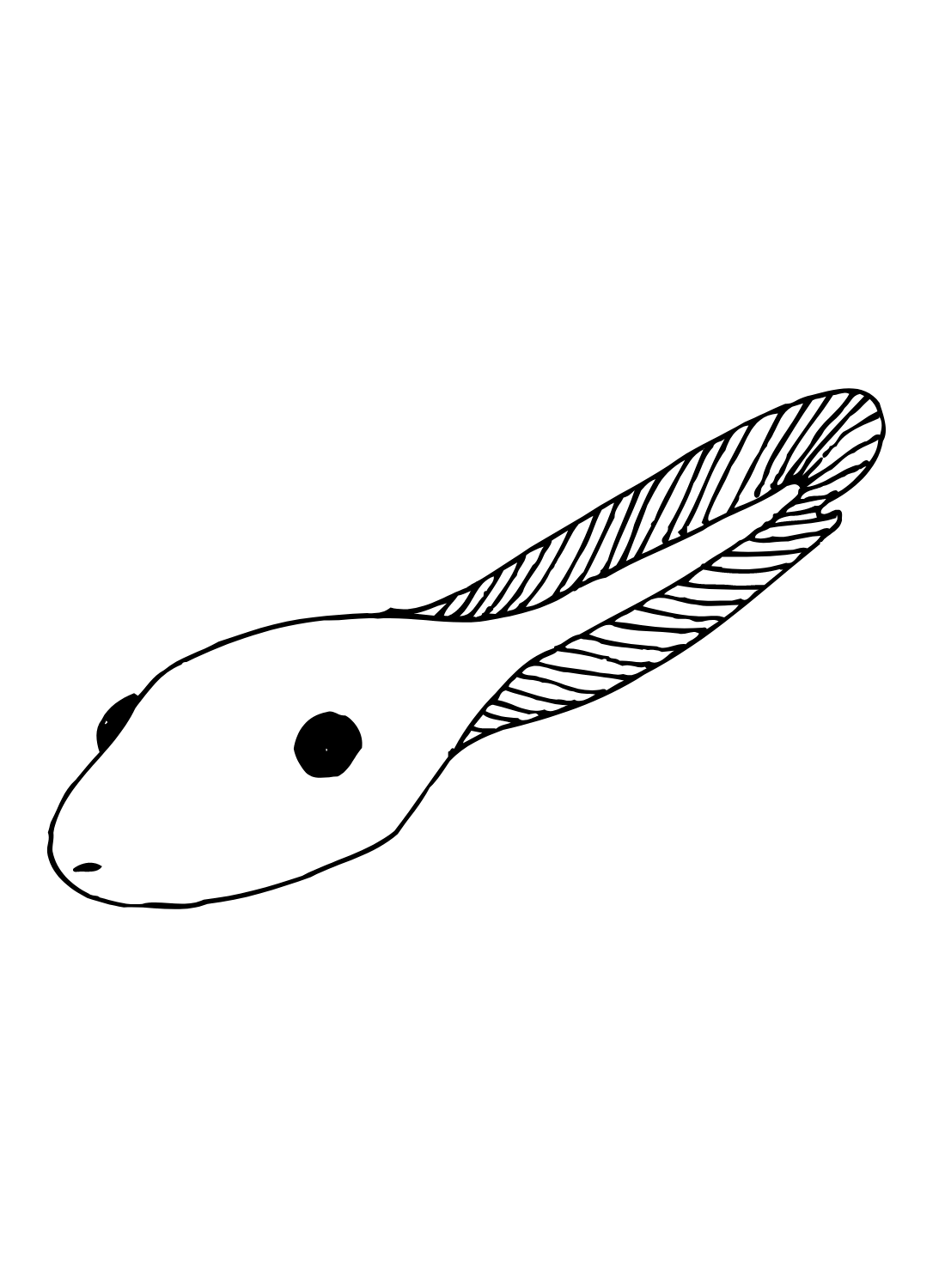 tadpole outline