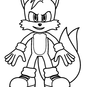 Colorindo SONIC AMY ROSE TAILS e KNUCKLES Coloring SONIC THE