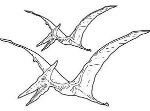 The Glorious Twilight of Pterosaurs