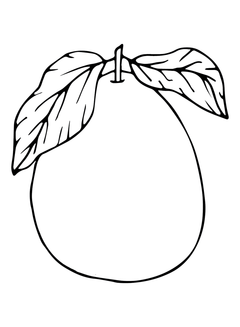 Pomelo Coloring Pages Printable for Free Download